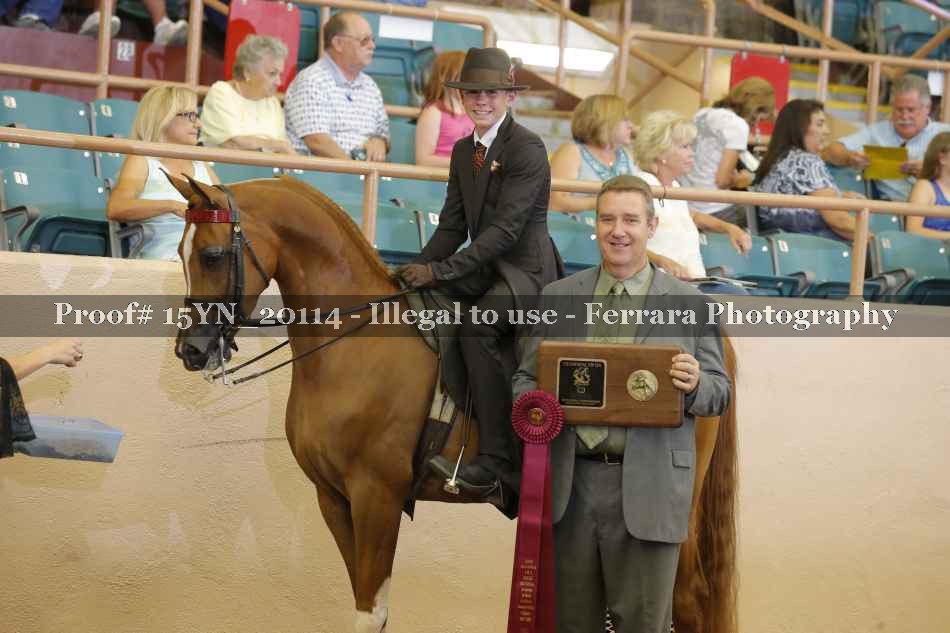 Proof Number 15YN_20114