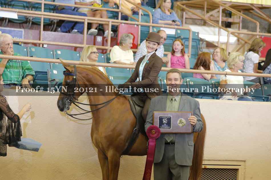 Proof Number 15YN_20121