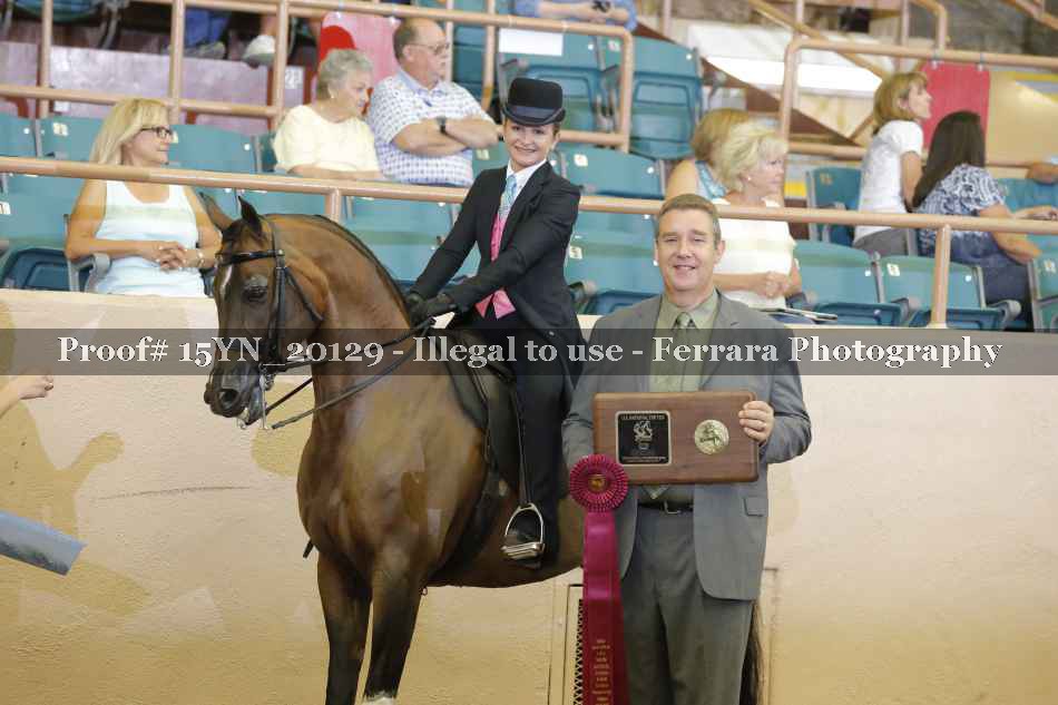 Proof Number 15YN_20129
