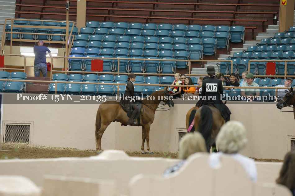 Proof Number 15YN_20135