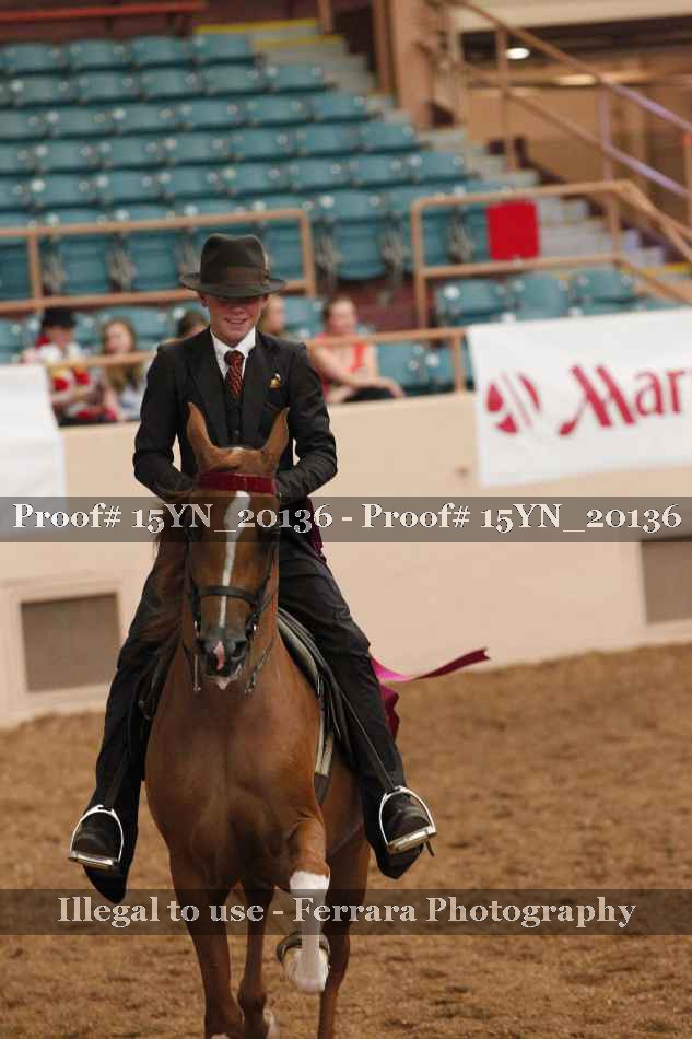 Proof Number 15YN_20136