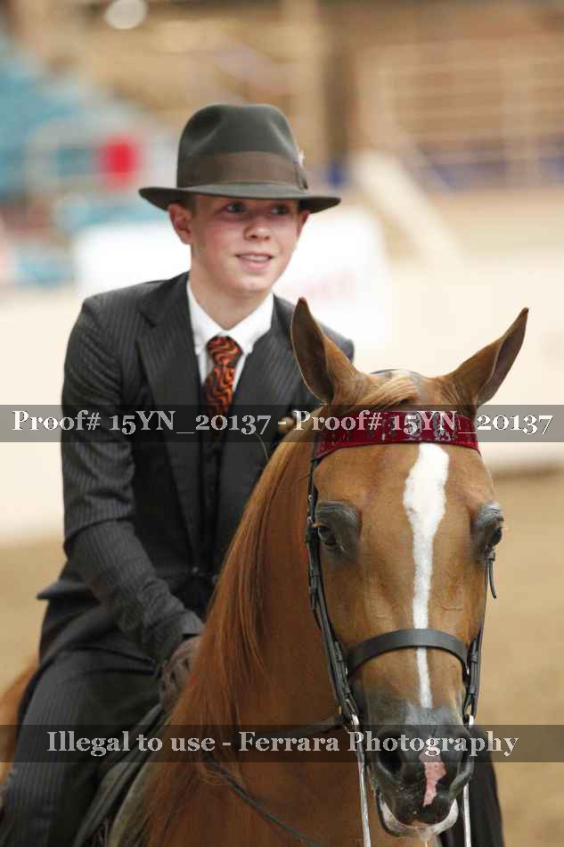 Proof Number 15YN_20137