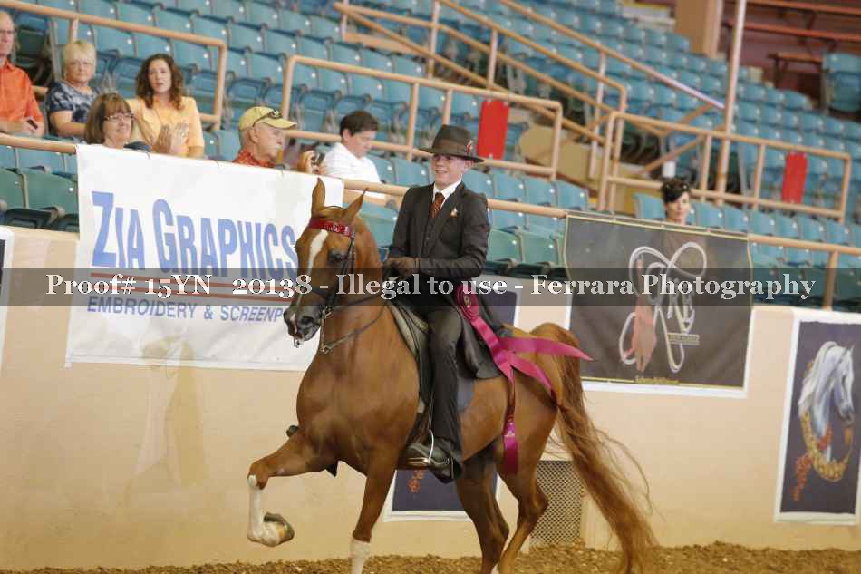 Proof Number 15YN_20138