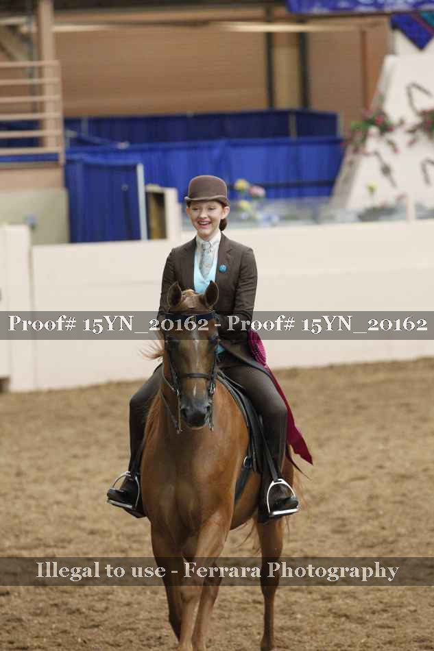 Proof Number 15YN_20162