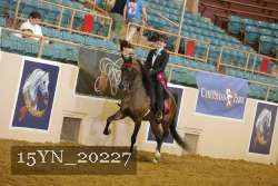 15YN_20227 thumbnail