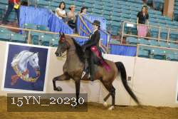 15YN_20230 thumbnail