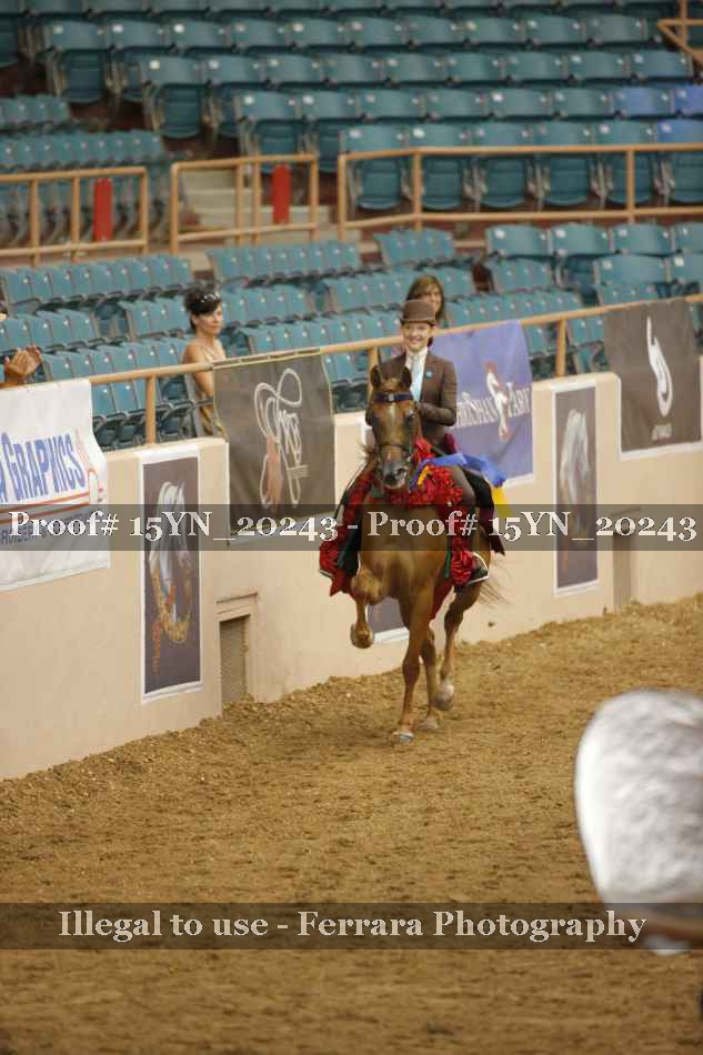 Proof Number 15YN_20243