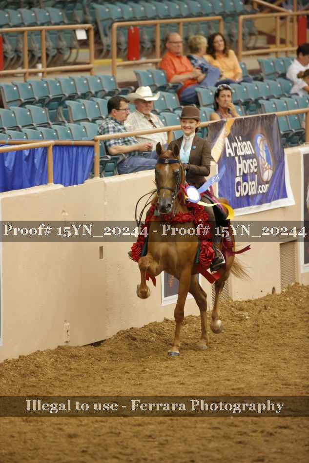 Proof Number 15YN_20244
