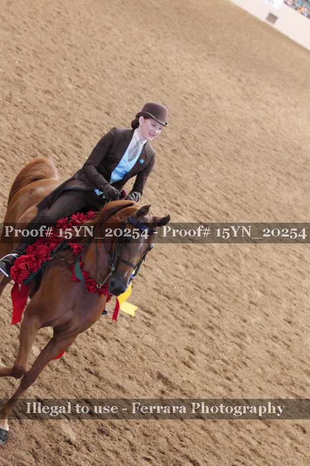 Proof Number 15YN_20254
