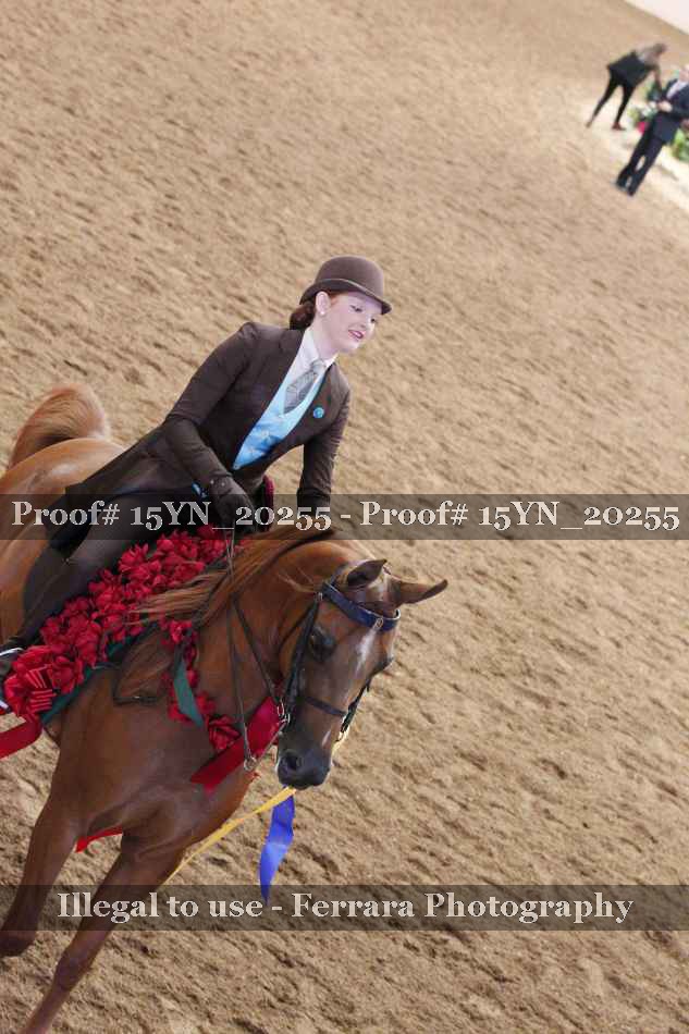 Proof Number 15YN_20255