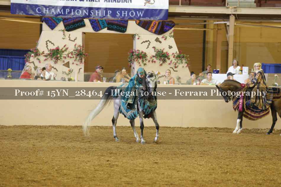Proof Number 15YN_28464
