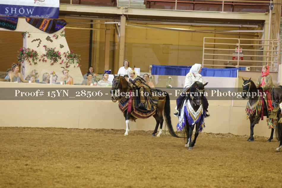 Proof Number 15YN_28506