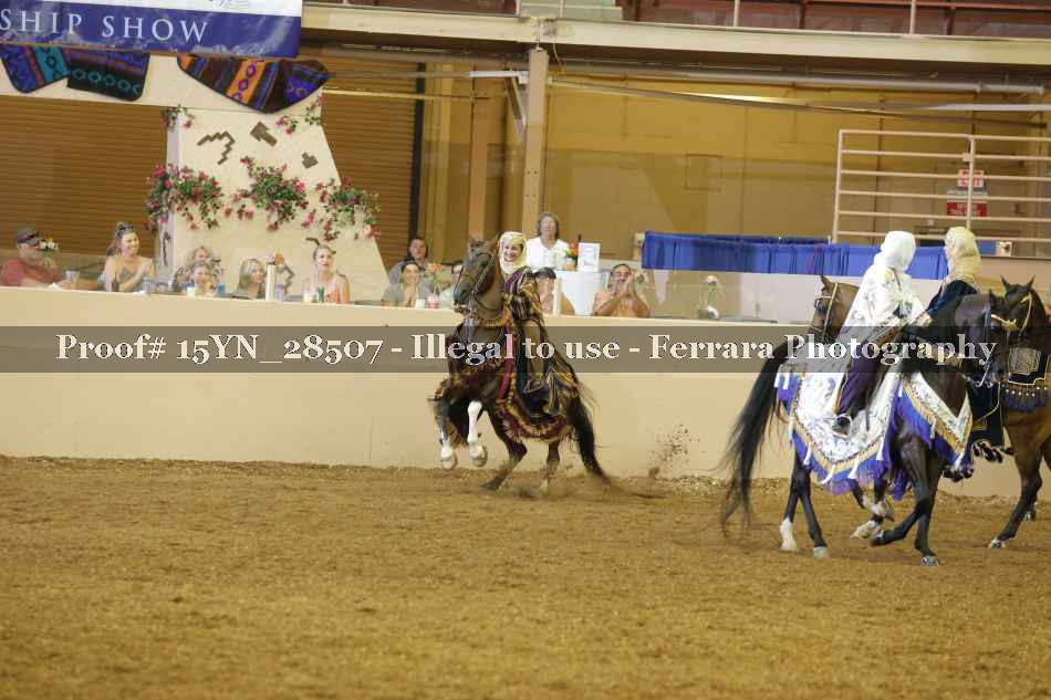 Proof Number 15YN_28507
