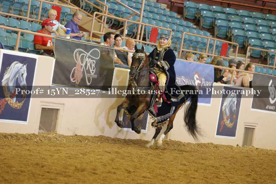 Proof Number 15YN_28527