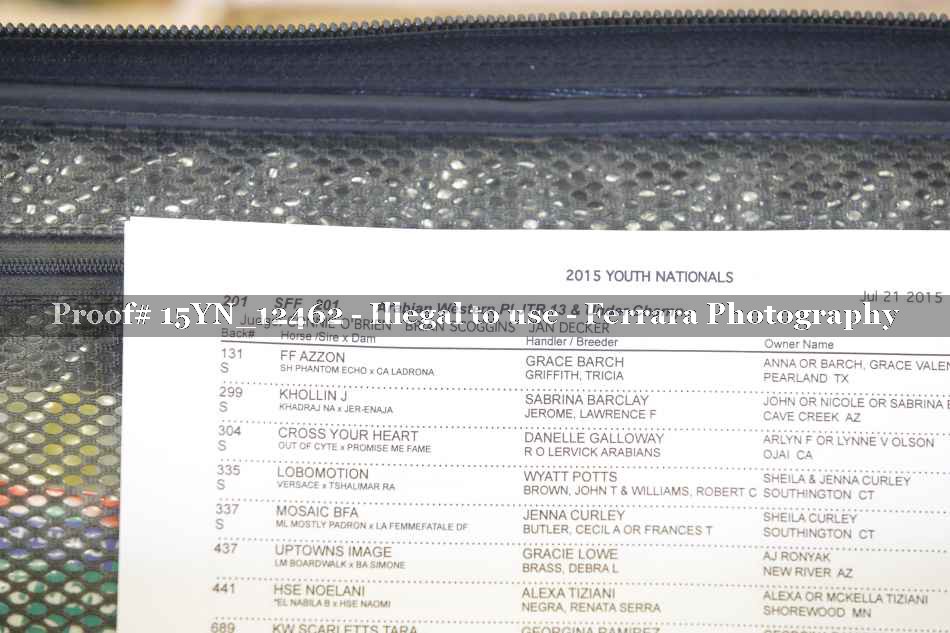Proof Number 15YN_12462