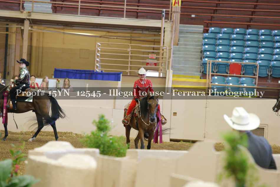 Proof Number 15YN_12545