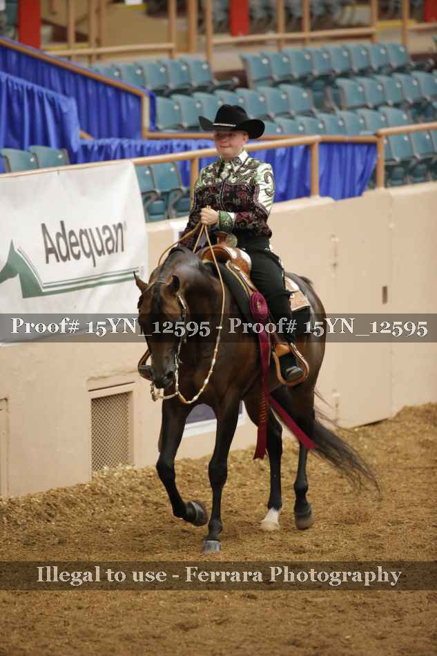 Proof Number 15YN_12595
