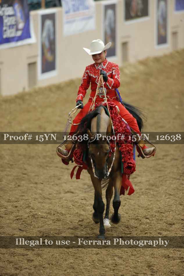 Proof Number 15YN_12638