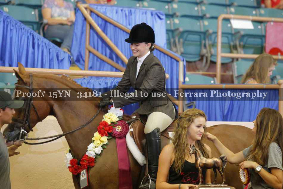 Proof Number 15YN_34181