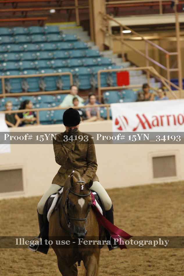 Proof Number 15YN_34193
