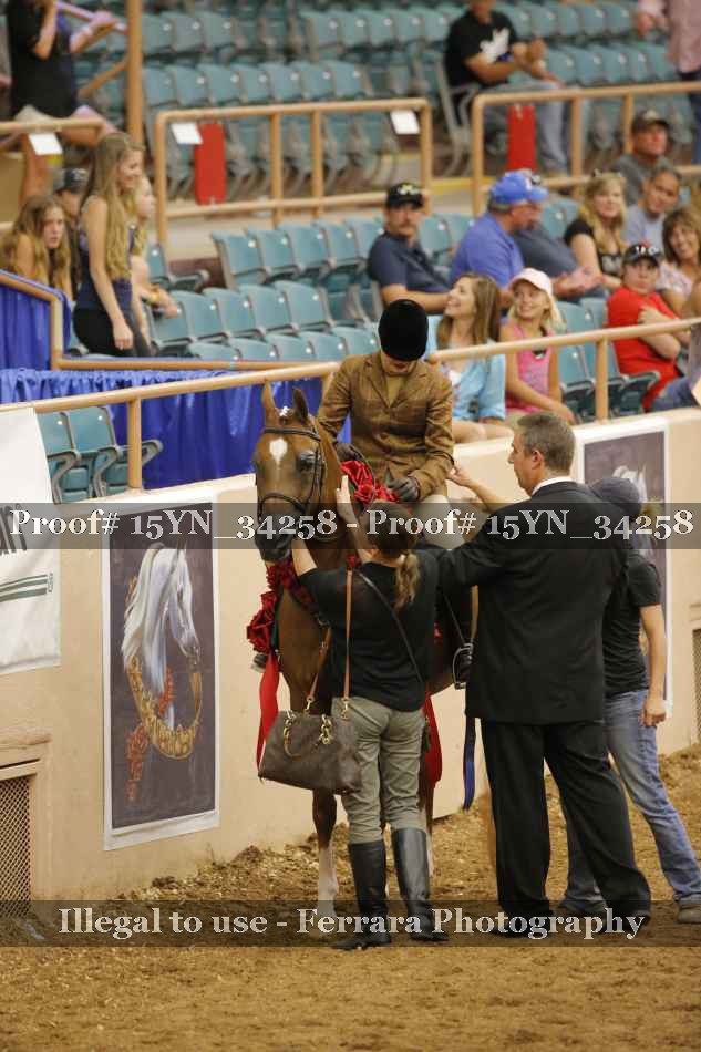 Proof Number 15YN_34258