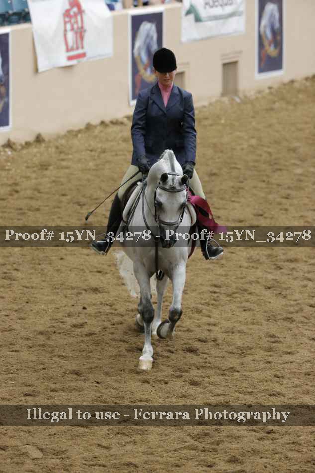 Proof Number 15YN_34278