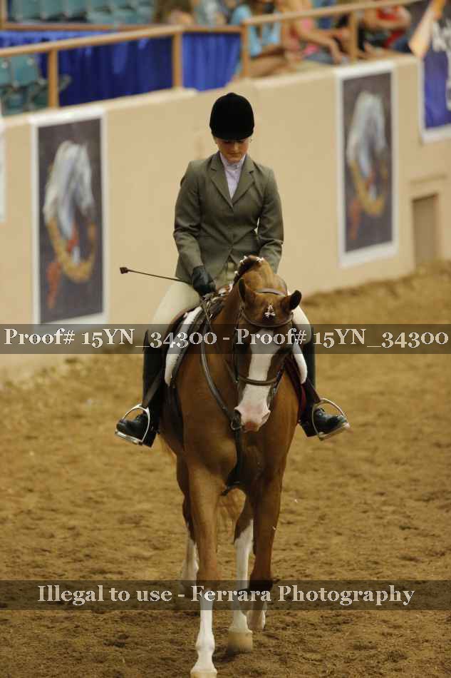 Proof Number 15YN_34300