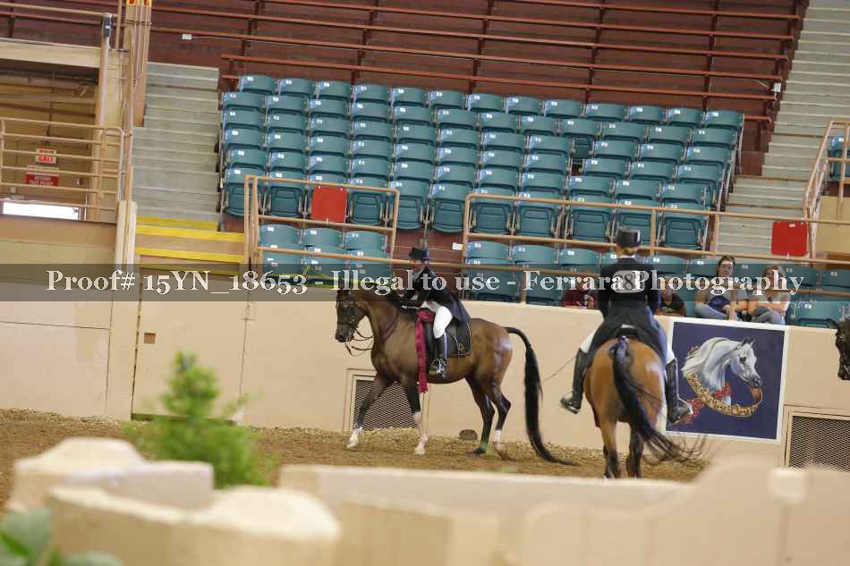 Proof Number 15YN_18653