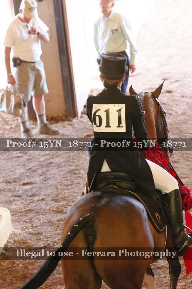 Proof Number 15YN_18771