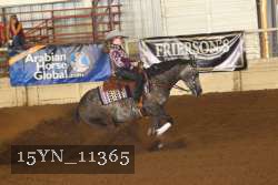 15YN_11365 thumbnail