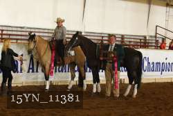 15YN_11381 thumbnail