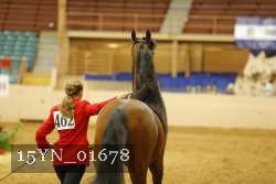 15YN_01678 thumbnail