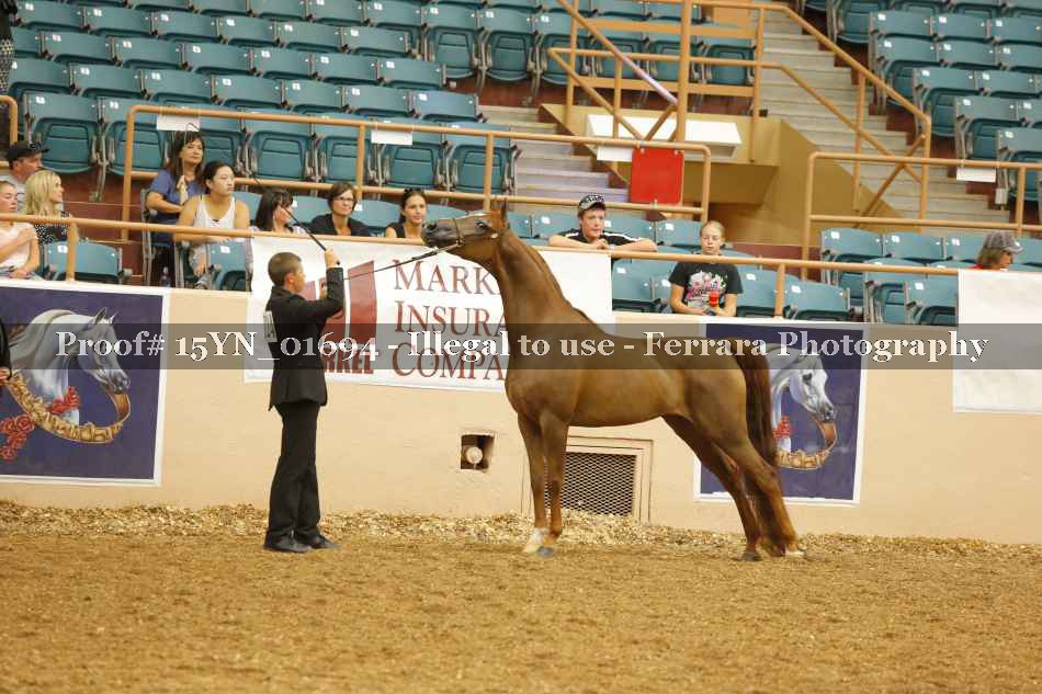 Proof Number 15YN_01694