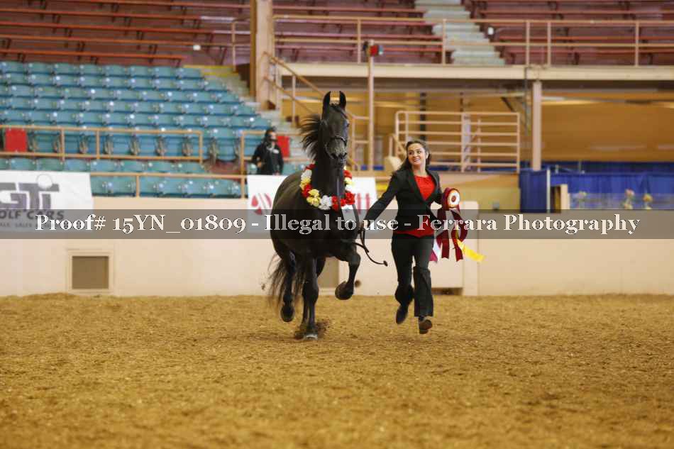 Proof Number 15YN_01809