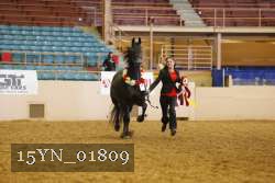 15YN_01809 thumbnail