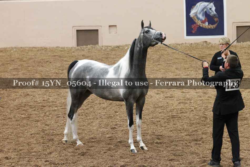 Proof Number 15YN_05604
