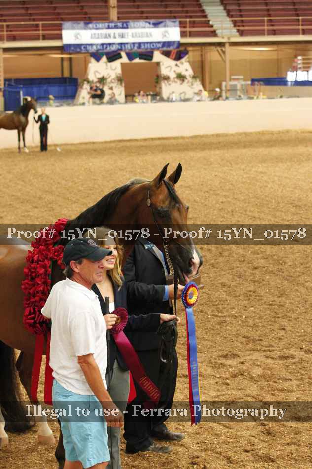 Proof Number 15YN_01578