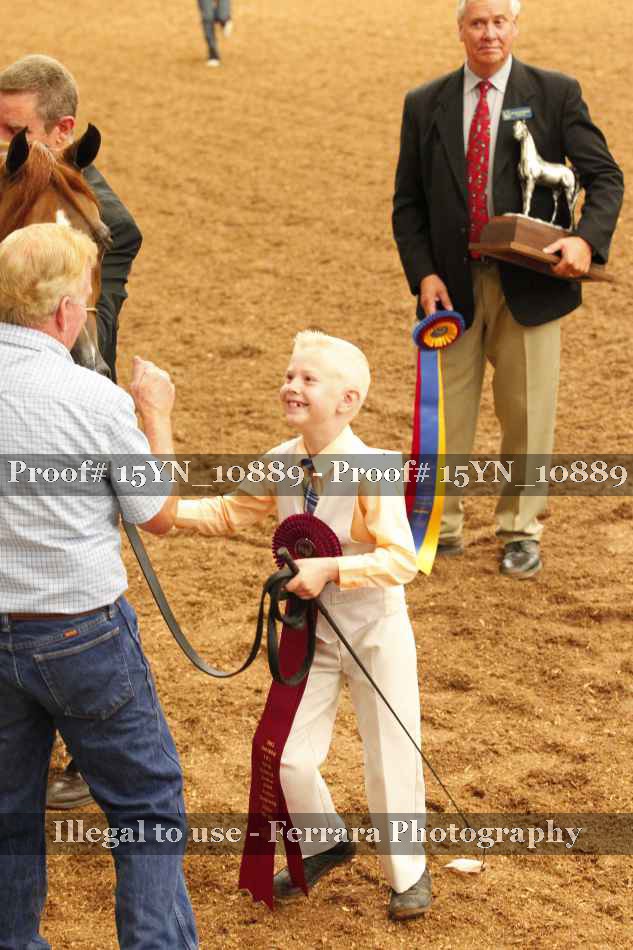 Proof Number 15YN_10889