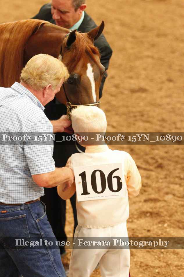 Proof Number 15YN_10890