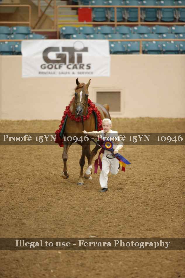 Proof Number 15YN_10946