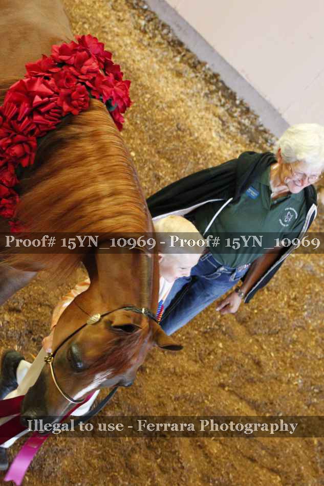 Proof Number 15YN_10969