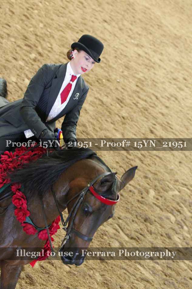 Proof Number 15YN_21951