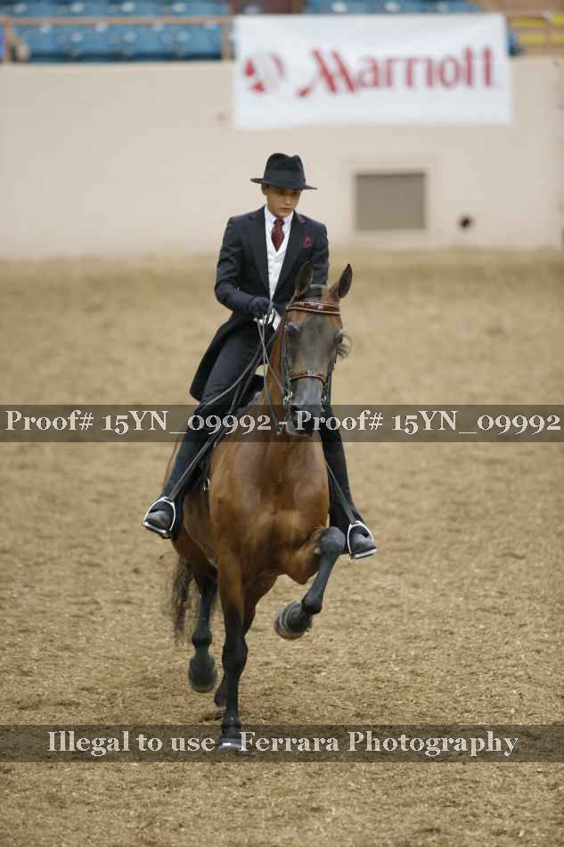 Proof Number 15YN_09992