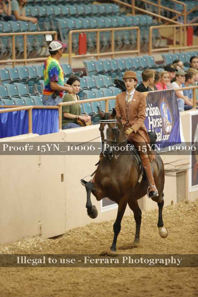 Proof Number 15YN_10006