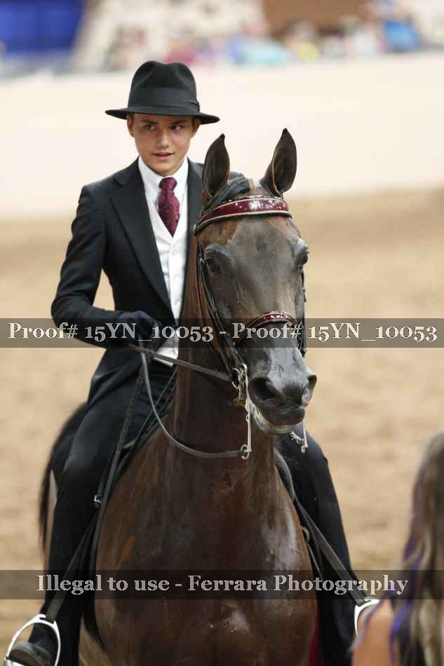 Proof Number 15YN_10053