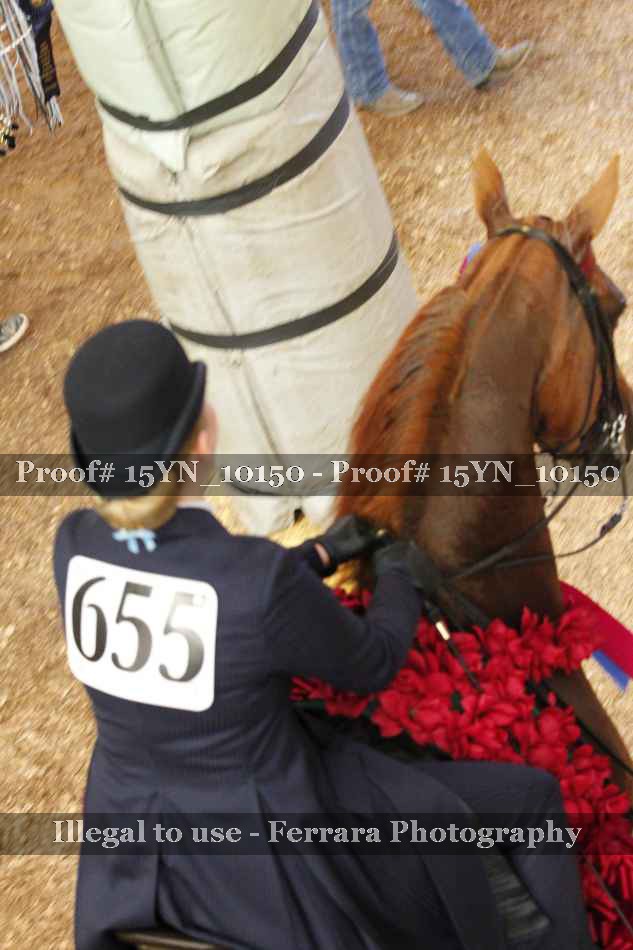 Proof Number 15YN_10150