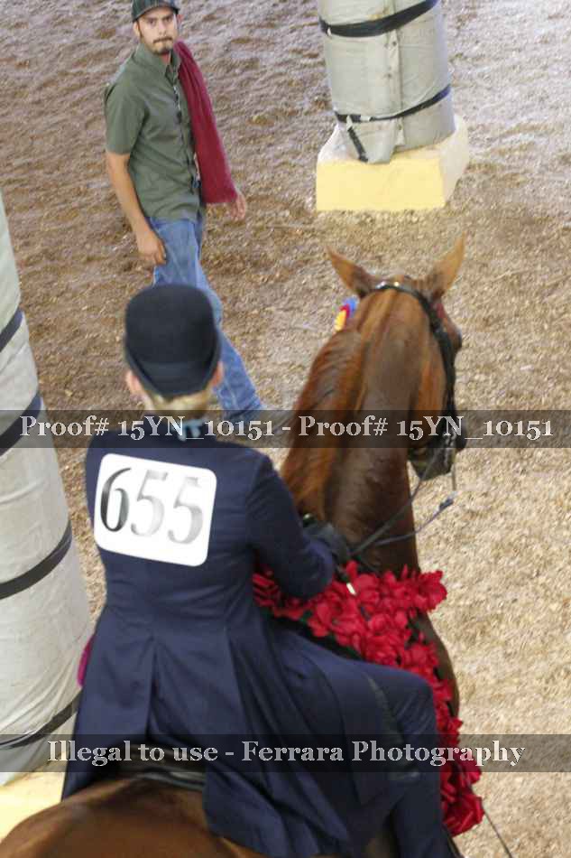 Proof Number 15YN_10151