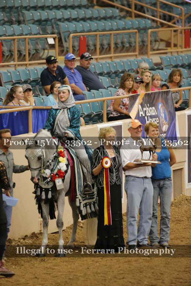 Proof Number 15YN_33562