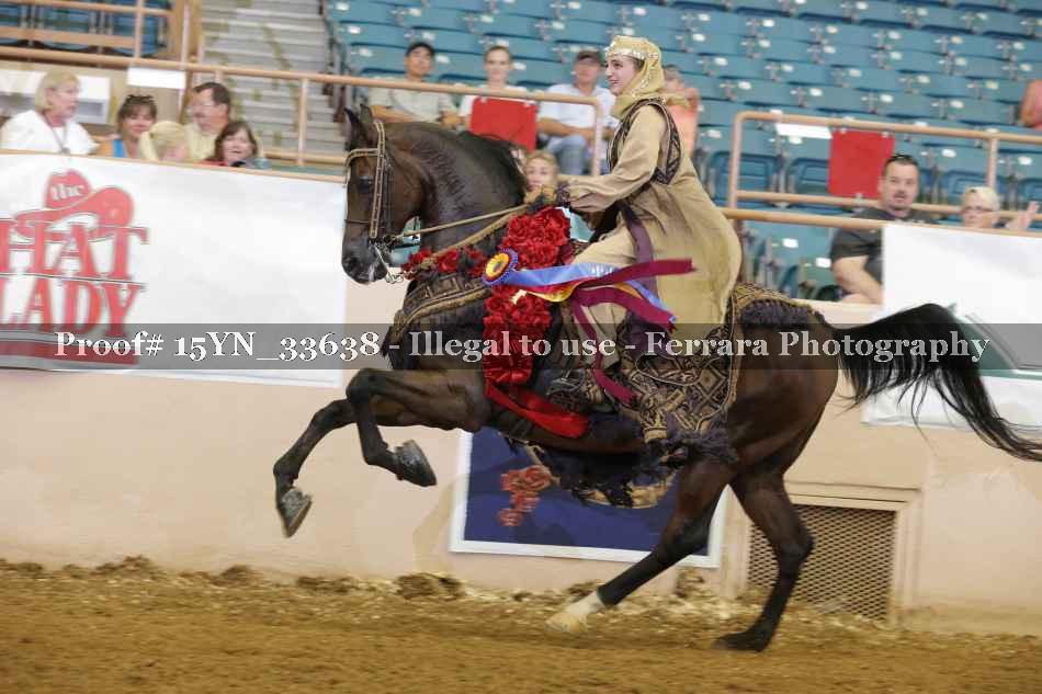 Proof Number 15YN_33638