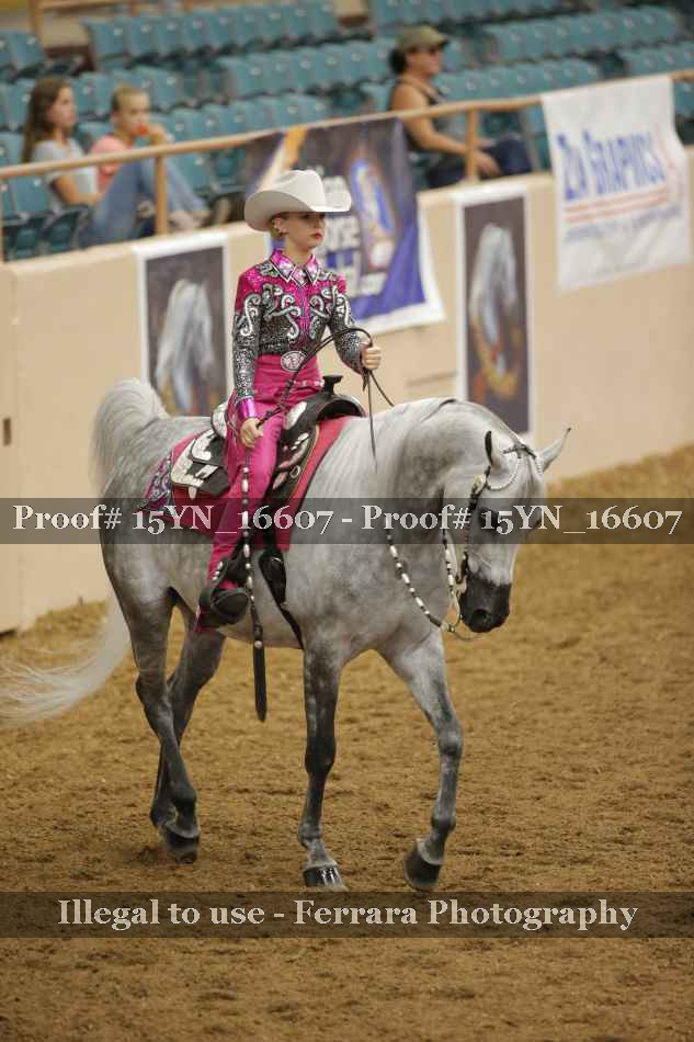 Proof Number 15YN_16607